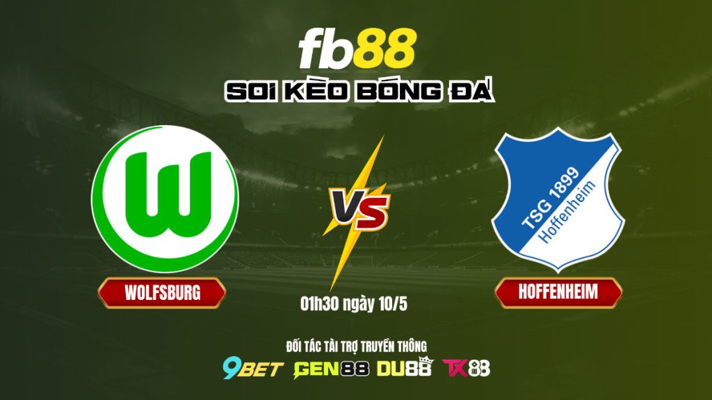 Soi kèo bóng đá Wolfsburg vs Hoffenheim_ FB88